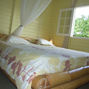villa citronnelle martinique 10