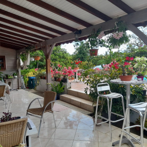 villa-location-martinique-dolce-vita 02