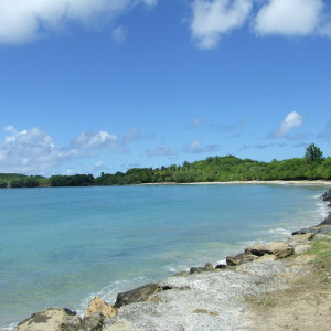villa-location-martinique-dolce-vita 14